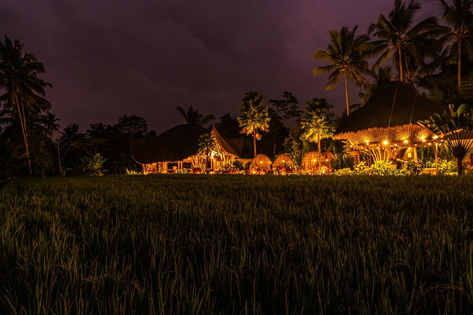 Keliki Luxury Lodge Ubud Buitenkant foto